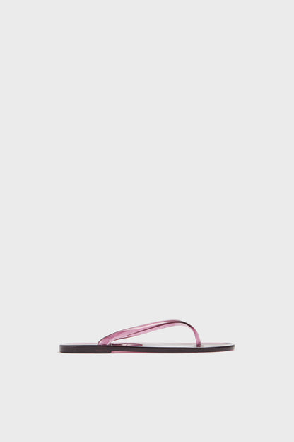 WINE COLOR