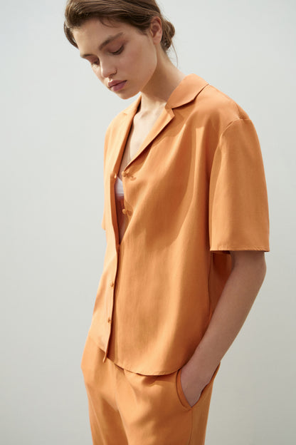 AMBER