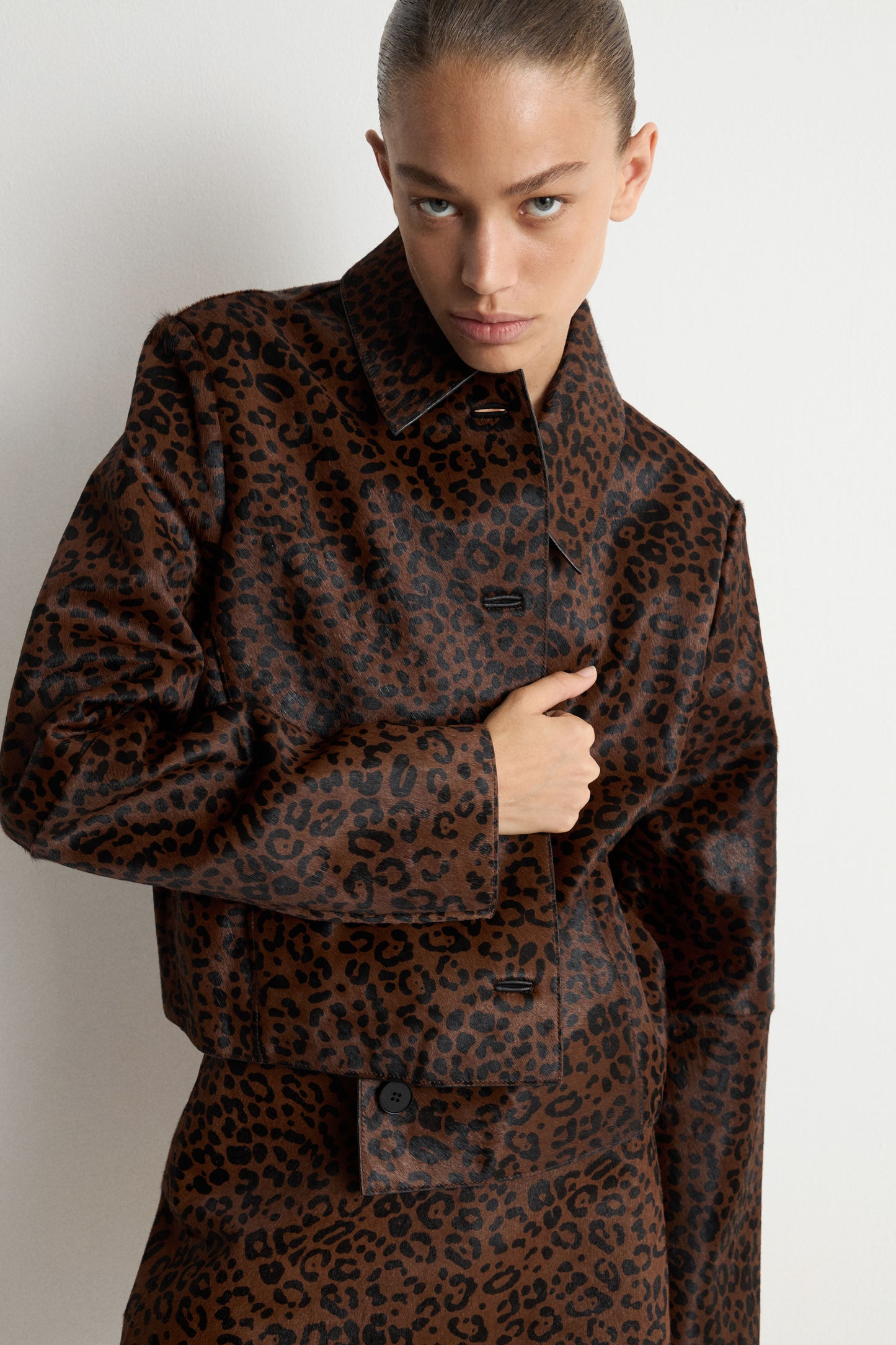LEOPARD/BROWN