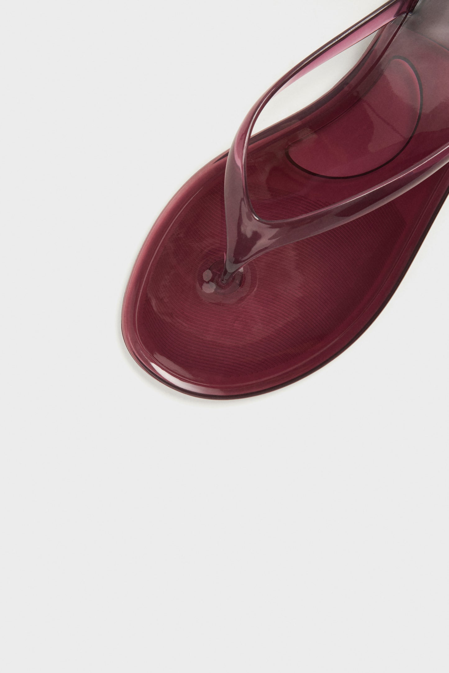 WINE COLOR