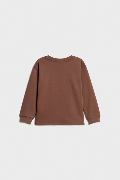 GRAY BROWN