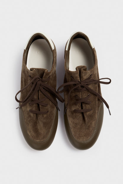GRAY BROWN