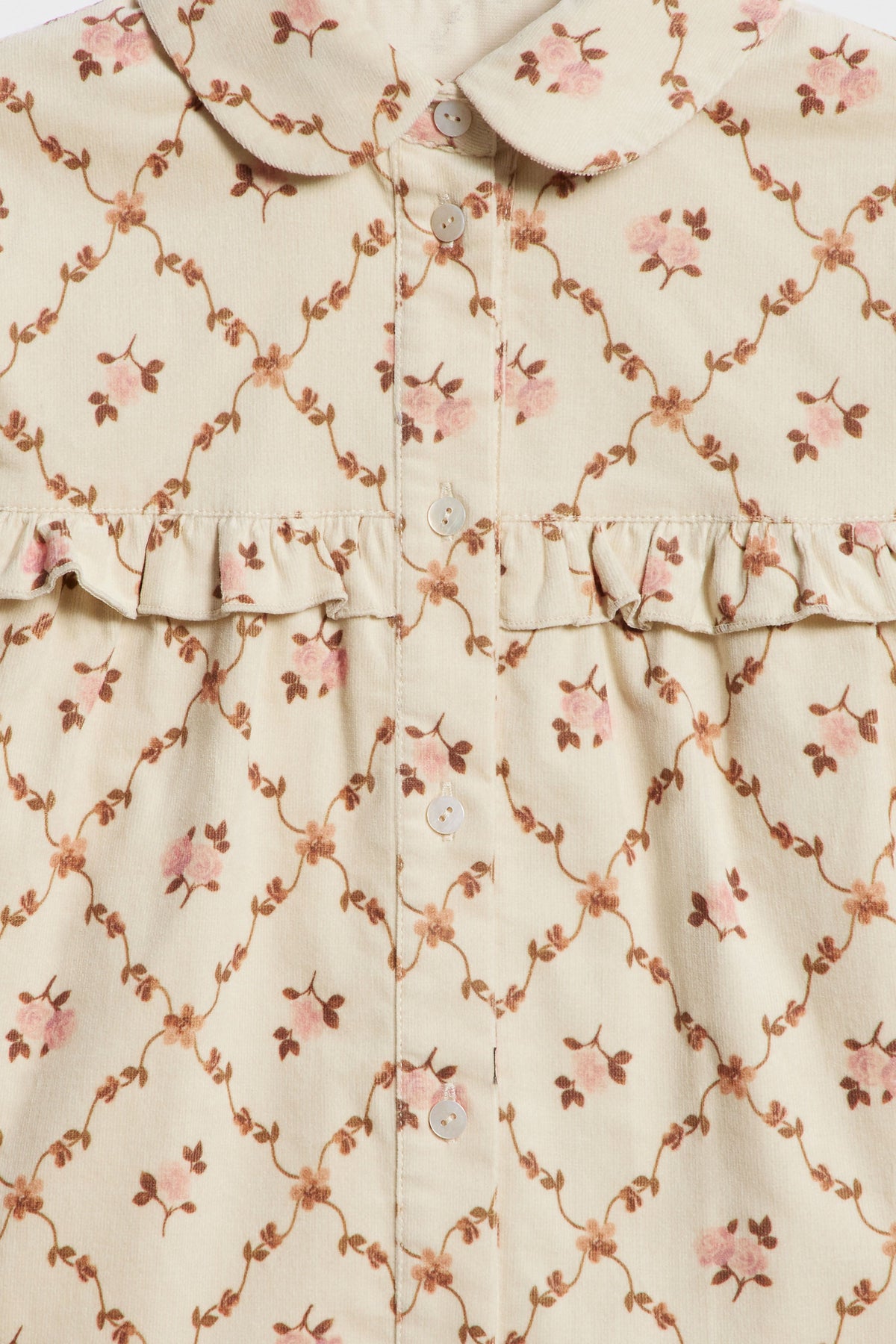 MULTICOLOR