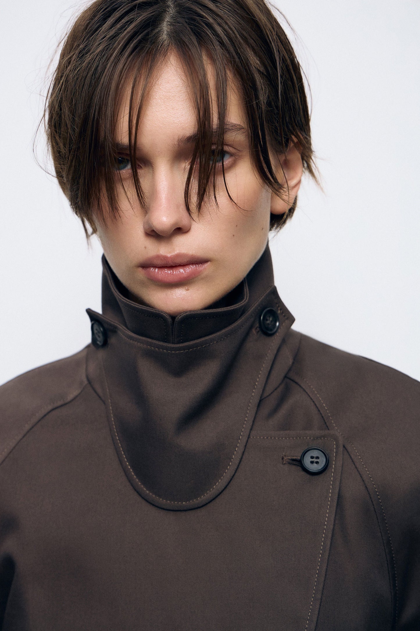 DARK BROWN